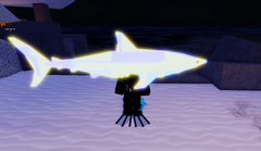 Bull Shark | Fisch Wiki | Fandom