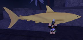Bull Shark | Fisch Wiki | Fandom