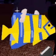 Angelfish | Fisch Wiki | Fandom