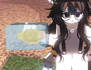 Frozen Captains Goldfish.png (356 KB) Frozen