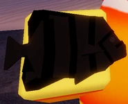 Angelfish | Fisch Wiki | Fandom