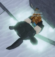 Sea Turtle Sunken.gif (6.9 MB) Sunken