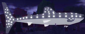 Whale Shark | Fisch Wiki | Fandom