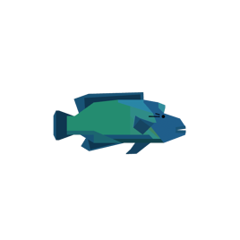 Napoleonfish | Fisch Wiki | Fandom