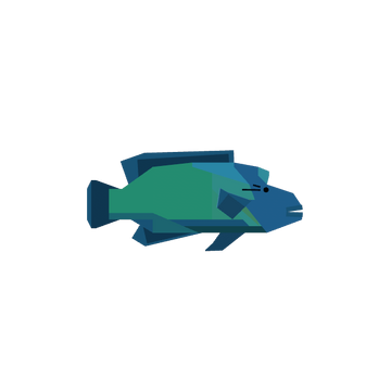 Napoleonfish | Fisch Wiki | Fandom Napoleonfish | Fisch Wiki | Fandom