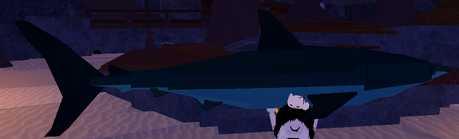 Bull Shark | Fisch Wiki | Fandom