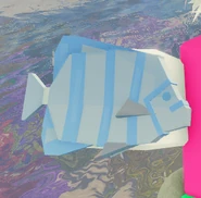 Angelfish | Fisch Wiki | Fandom