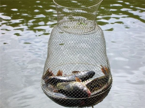 Садок рыболовный | Рыболовные принадлежности вики | Fandom