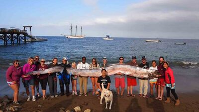 Oarfish1920.jpg