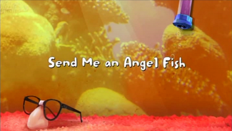 Click here to view more images from Send Me an Angel Fish.