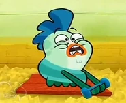 Milo trying to lift weights.