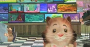 BudHamsters.jpg (32 KB)