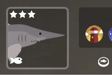 Dolphin | Fishing & life Wiki | Fandom