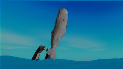Moby Wood Fishing Sim Roblox Wiki Fandom - beluga whale roblox