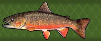 BrookTrout