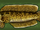 Orange Spotted Snakehead
