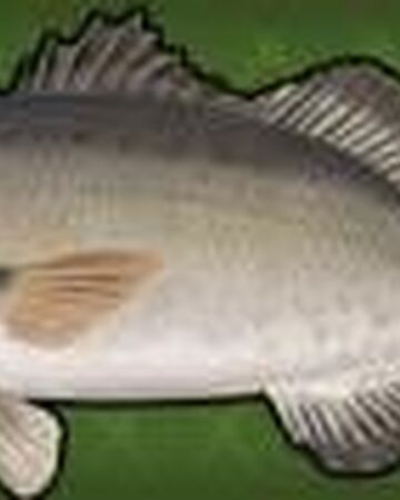 Nile Perch Fishing World Wiki Fandom