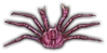 KingCrab-icon