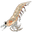 FP bait.png