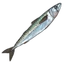 Mackerel icon