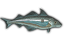 Haddock icon