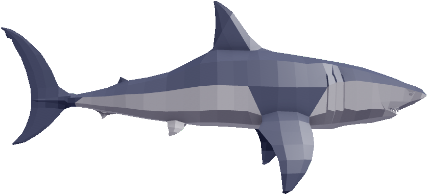 albino great white shark 2022