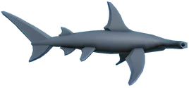 Hammerhead Shark | Fishing Simulator Wiki | Fandom
