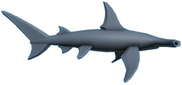 Hammerhead Shark | Fishing Simulator Wiki | Fandom