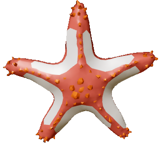 Starfish - Wikipedia