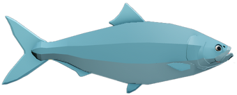 Fish Encyclopedia Fishing Simulator Wiki Fandom