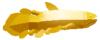 Bluefish | Fishing Simulator Wiki | Fandom