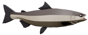 Fish Encyclopedia Fishing Simulator Wiki Fandom