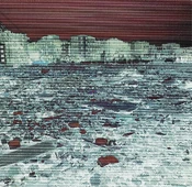 Inner side of front cover.