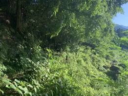 The Long Season photo location as of June 17, 2023.