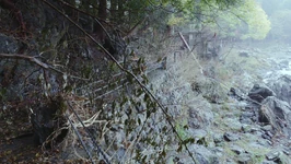 The Long Season photo location circa 2019, appearing in . 	 	 	 		 			 		 		 		 			Flyer advert