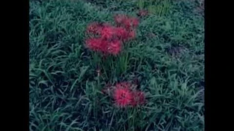 Long Season (song) | Fishmans Wiki | Fandom