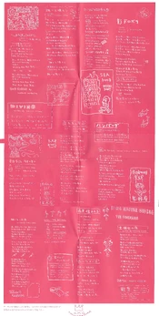 Booklet pages 9-16, spliced together from 3 scans.