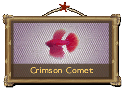 crimson comet fish tycoon