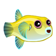 Golden Puffer (2)