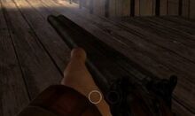 Coachgun.jpg