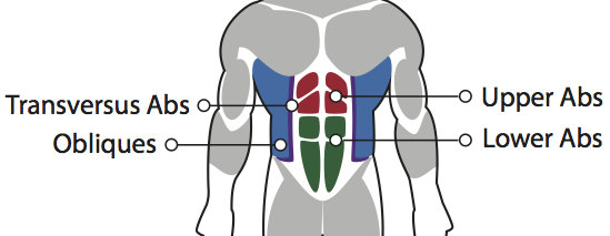 lower rectus abdominis exercises