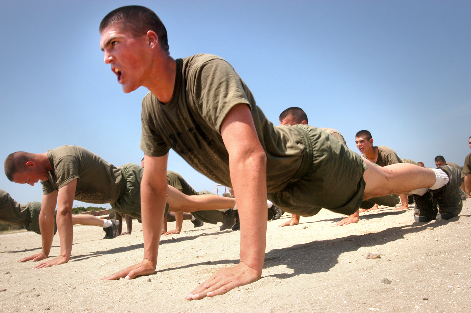 Push ups Fitness Wiki Fandom