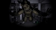 The Cat in front of the player.
