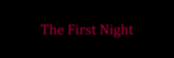 just reached custom night in fnac 1, planning on trying to beat 7/20, any  tips? : r/fivenightsatcandys