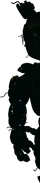 L'immagine di Springtrap mentre si nasconde dietro la porta.