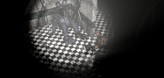 Withered Freddy, Withered Chica, e Withered Bonnie in Ricambi/Servizi.