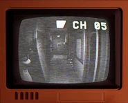 Il riccio Hudgie ripreso da una telecamera, come si vede in un video teaser.