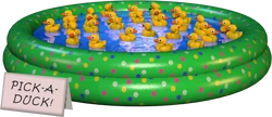 Duck Pond