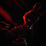 Un teaser che rivela Ignited Bonnie.