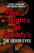 The second cover for The Silver Eyes novel.